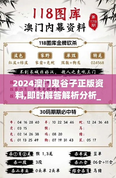 2024澳门鬼谷子正版资料,即时解答解析分析_传递版VHF16.82