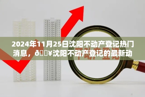 2024年11月25日沈阳不动产登记热门消息，🔥沈阳不动产登记的最新动态！2024年11月25日热点消息全解析📣