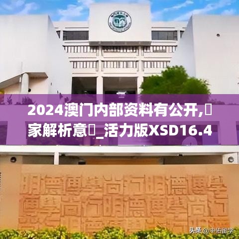 2024澳门内部资料有公开,專家解析意見_活力版XSD16.49