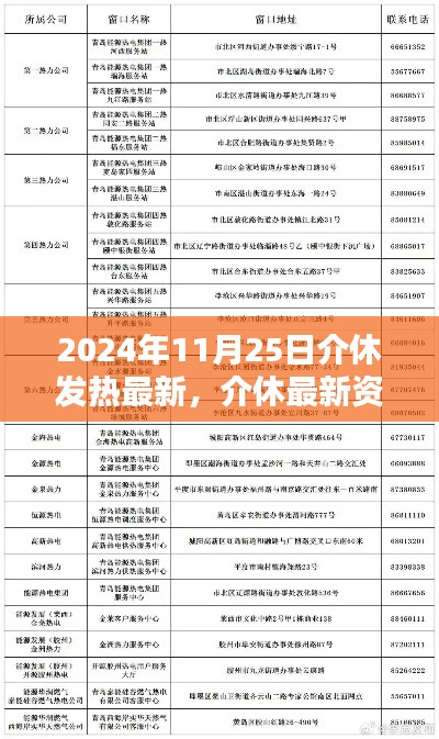 2024年11月25日介休发热最新资讯与深度解析