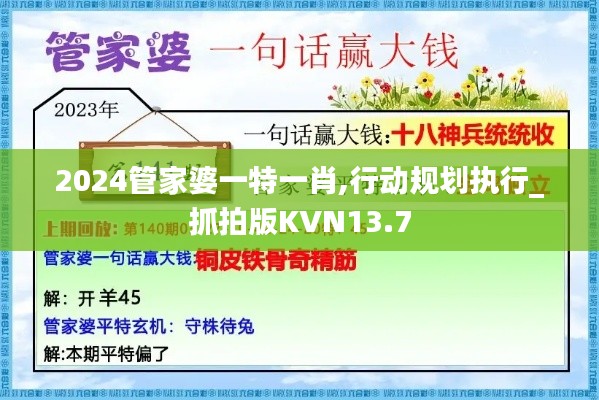 2024管家婆一特一肖,行动规划执行_抓拍版KVN13.7