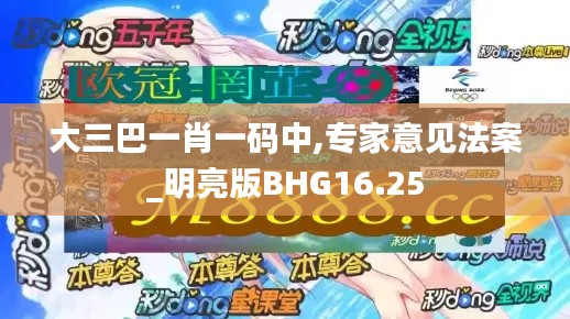 大三巴一肖一码中,专家意见法案_明亮版BHG16.25