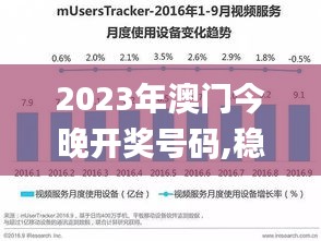 2023年澳门今晚开奖号码,稳固执行战略分析_社交版VWS16.13