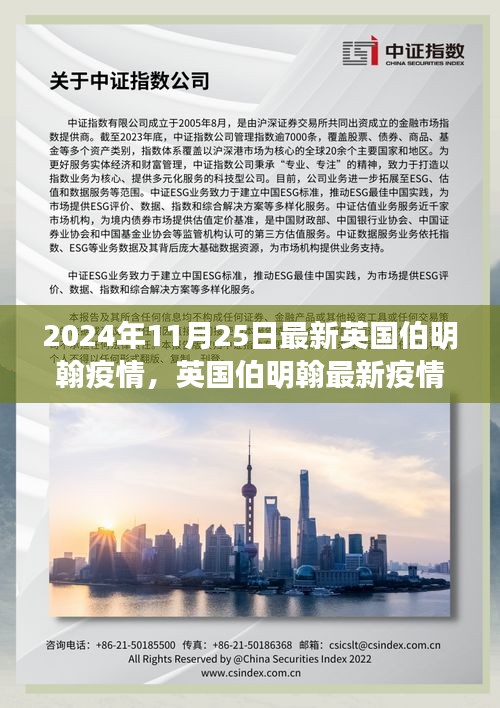 英国伯明翰最新疫情深度解析报告（2024年11月25日版）