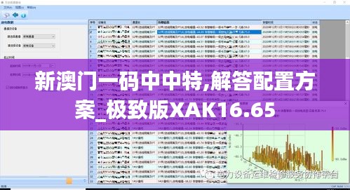 新澳门一码中中特,解答配置方案_极致版XAK16.65