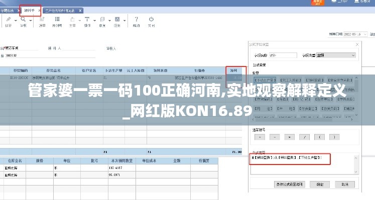 管家婆一票一码100正确河南,实地观察解释定义_网红版KON16.89