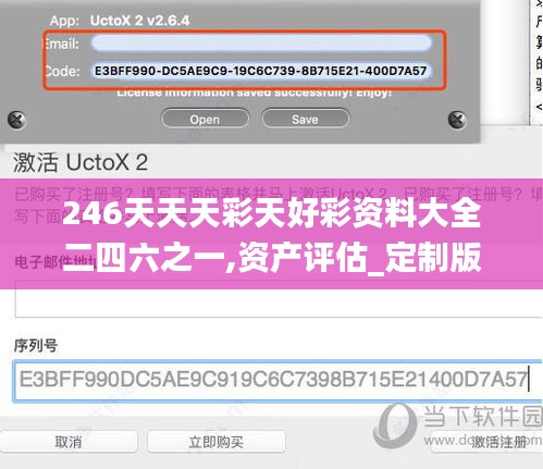 246天天天彩天好彩资料大全二四六之一,资产评估_定制版GLI16.12