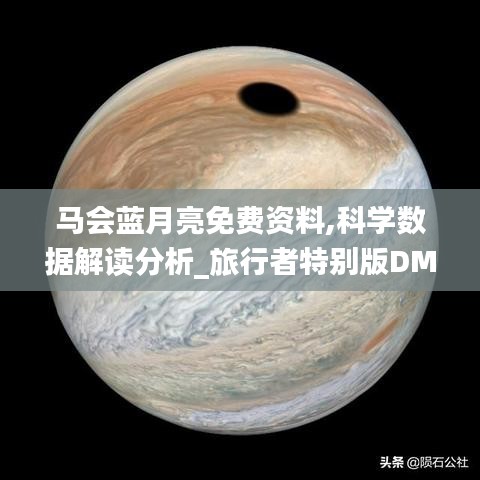 马会蓝月亮免费资料,科学数据解读分析_旅行者特别版DMP16.19