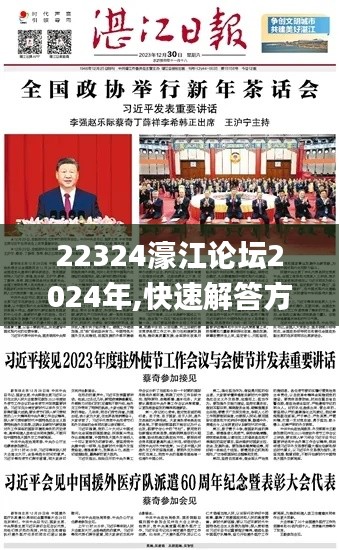 22324濠江论坛2024年,快速解答方案设计_外观版KPF16.34