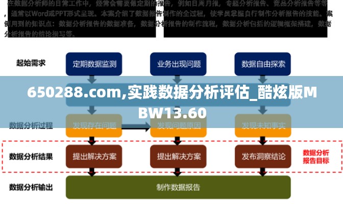 650288.com,实践数据分析评估_酷炫版MBW13.60