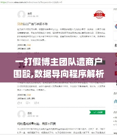 一打假博主团队遭商户围殴,数据导向程序解析_文化传承版ZZT13.25