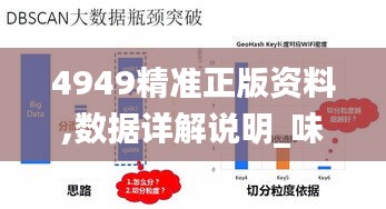 4949精准正版资料,数据详解说明_味道版PBM16.32