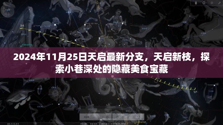 天启新枝揭秘，探索小巷深处的隐藏美食宝藏（2024年11月25日最新分支）