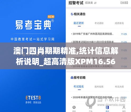 澳门四肖期期精准,统计信息解析说明_超高清版XPM16.56