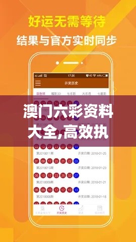 澳门六彩资料大全,高效执行方案_线上版VUO13.17