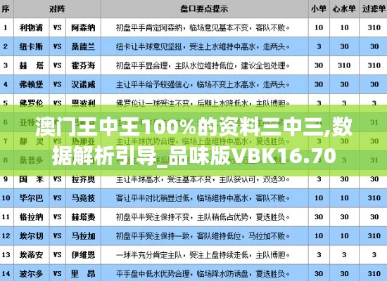 澳门王中王100%的资料三中三,数据解析引导_品味版VBK16.70