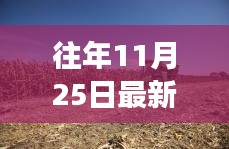 澳朗口腔医疗团队 第312页