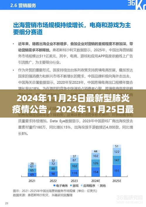 全球态势分析，最新型肺炎疫情动态与应对策略报告（2024年11月25日）