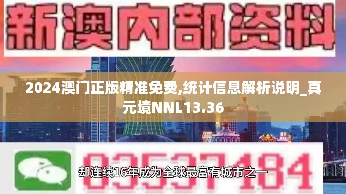 2024澳门正版精准免费,统计信息解析说明_真元境NNL13.36