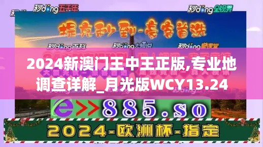 2024新澳门王中王正版,专业地调查详解_月光版WCY13.24