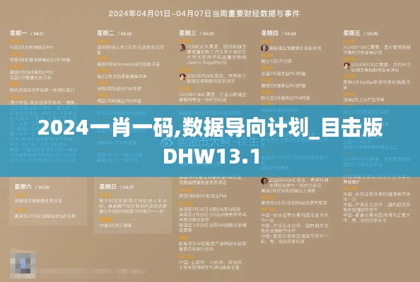 2024一肖一码,数据导向计划_目击版DHW13.1