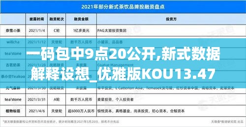 一码包中9点20公开,新式数据解释设想_优雅版KOU13.47