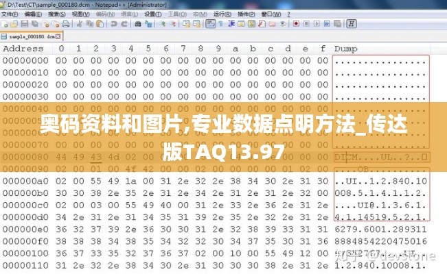 奥码资料和图片,专业数据点明方法_传达版TAQ13.97