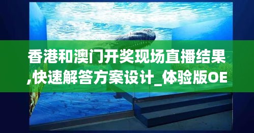 香港和澳门开奖现场直播结果,快速解答方案设计_体验版OEJ13.98