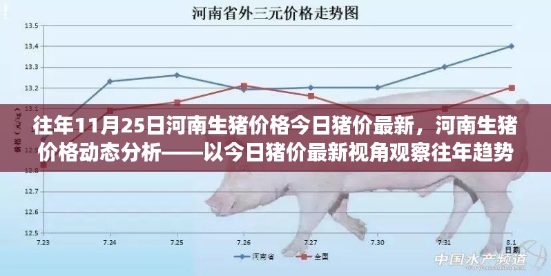 河南生猪价格动态分析，历年趋势回顾与未来展望——今日猪价最新视角观察未来趋势