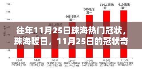 珠海暖日下的冠状奇遇与温情纽带