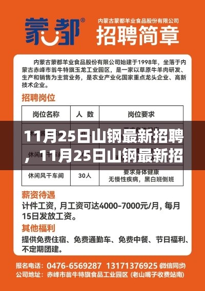 11月25日山钢最新招聘全面介绍与评测