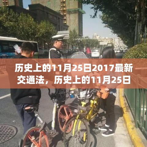 历史上的11月25日，最新交通法规解读与学习指南