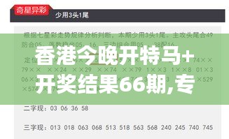 香港今晚开特马+开奖结果66期,专业解读操行解决_高效版FKZ19.76