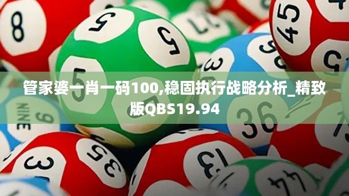 管家婆一肖一码100,稳固执行战略分析_精致版QBS19.94