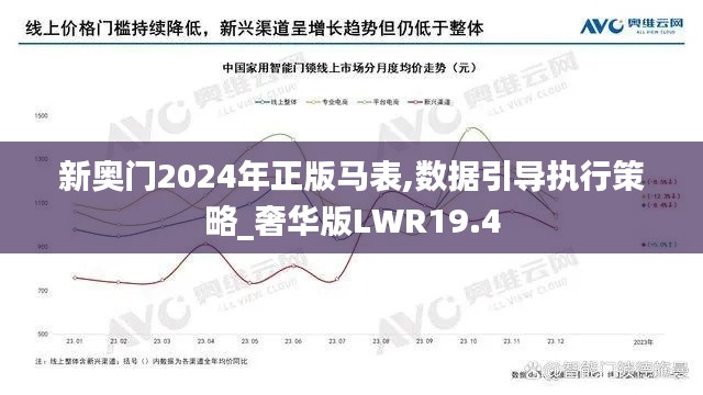 新奥门2024年正版马表,数据引导执行策略_奢华版LWR19.4