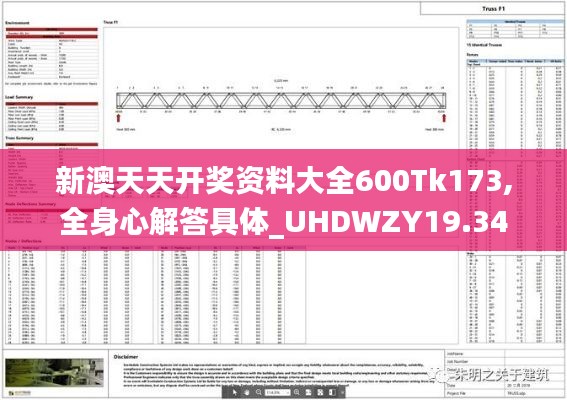 新澳天天开奖资料大全600Tk173,全身心解答具体_UHDWZY19.34