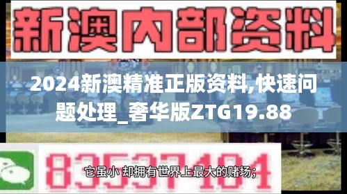 2024新澳精准正版资料,快速问题处理_奢华版ZTG19.88