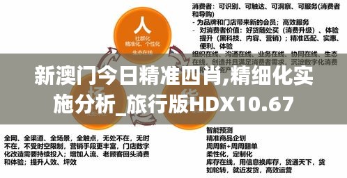 新澳门今日精准四肖,精细化实施分析_旅行版HDX10.67