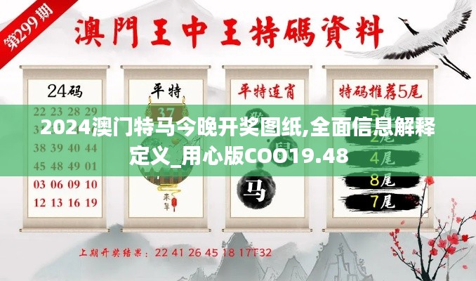 2024澳门特马今晚开奖图纸,全面信息解释定义_用心版COO19.48