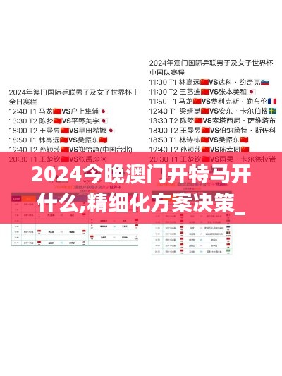 2024今晚澳门开特马开什么,精细化方案决策_闪电版SWX19.33