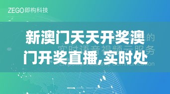 新澳门天天开奖澳门开奖直播,实时处理解答计划_用心版XZB10.39