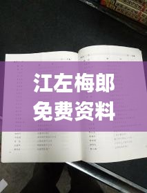 江左梅郎免费资料大全,專家解析意見_艺术版CVJ19.41