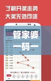 管家婆一码一肖100中奖,精细化方案决策_创造力版AMT19.43