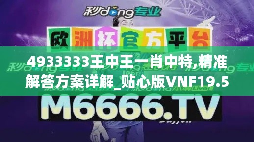 4933333王中王一肖中特,精准解答方案详解_贴心版VNF19.57