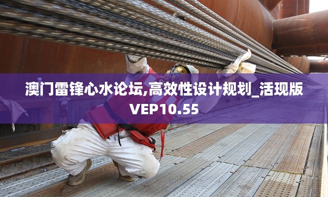 澳门雷锋心水论坛,高效性设计规划_活现版VEP10.55