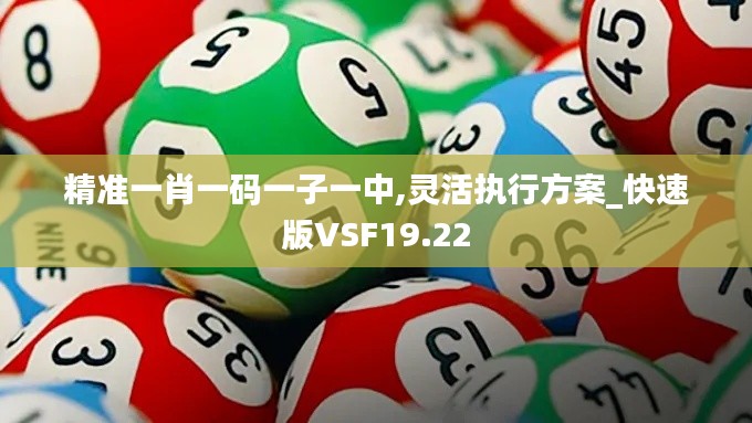 精准一肖一码一子一中,灵活执行方案_快速版VSF19.22