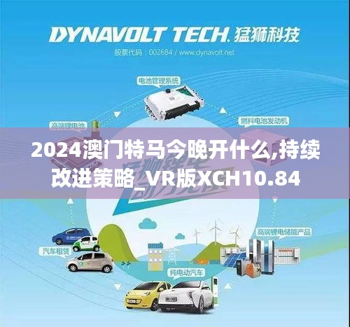 2024澳门特马今晚开什么,持续改进策略_VR版XCH10.84