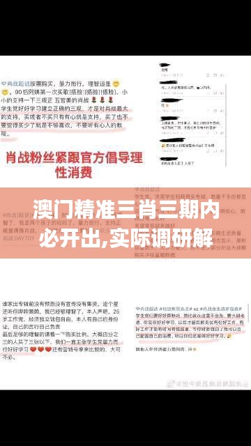 澳门精准三肖三期内必开出,实际调研解析_梦想版QUU10.78