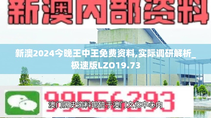 新澳2024今晚王中王免费资料,实际调研解析_极速版LZO19.73