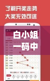 白小姐一码中期期开奖结果查询,实时更新解释介绍_未来版FLN10.65